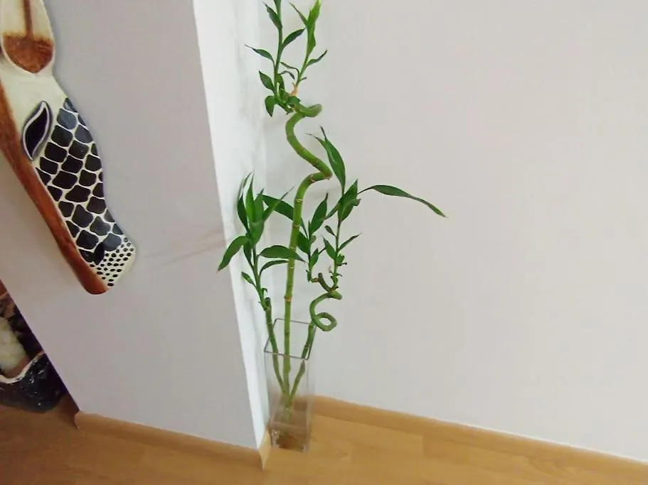 Apartmán Atico Benalmadena Balam-Ui Sawon Španělsko