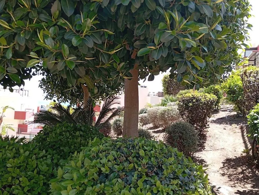 Atico Benalmadena Balam-Ui Sawon Apartment Spain