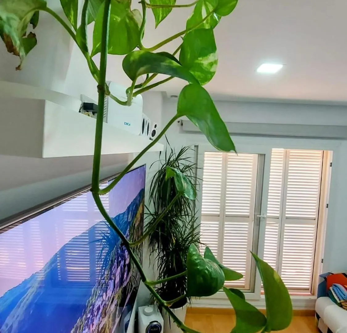 Atico Benalmadena Balam-Ui Sawon Apartment Spain